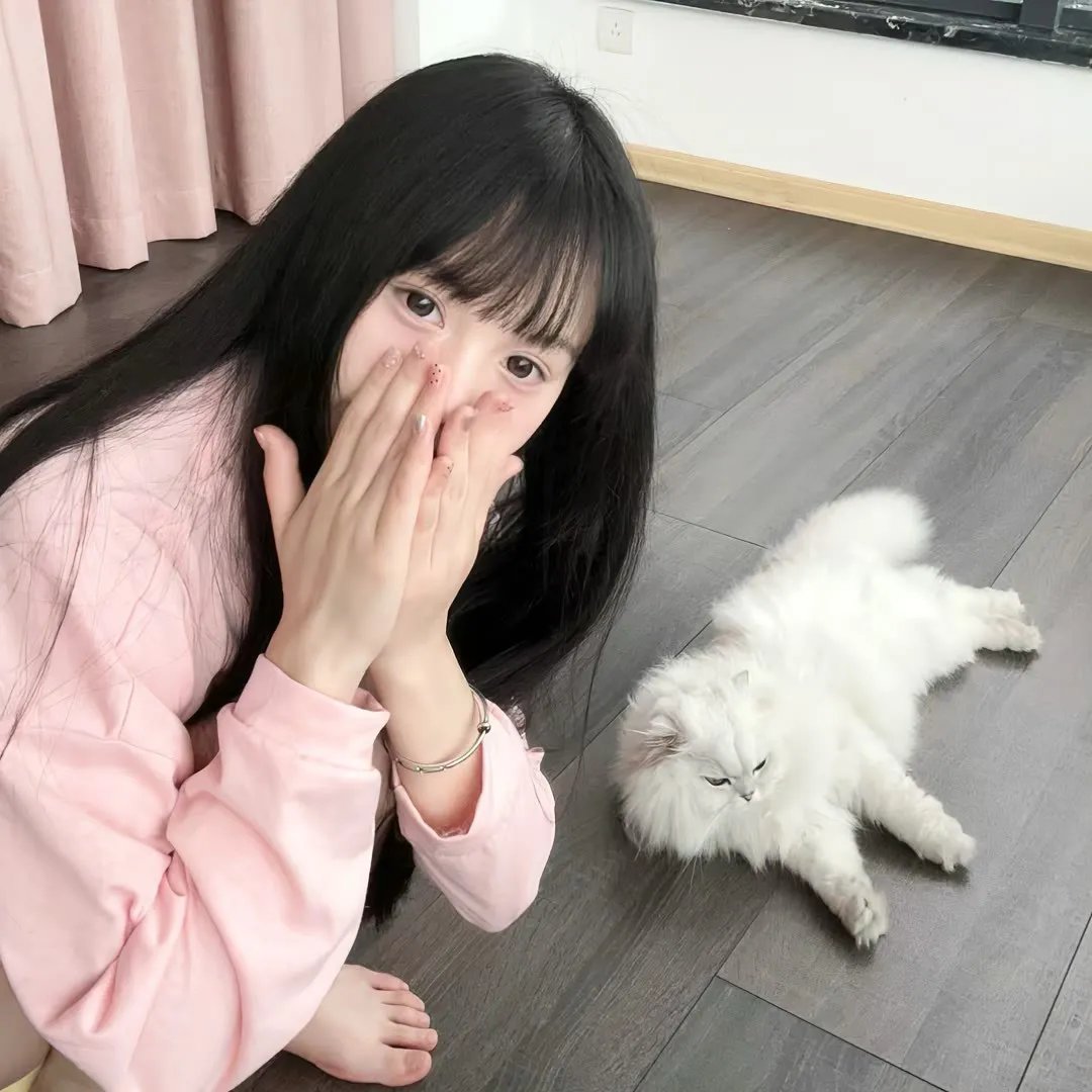 2026热门内容精选第035期